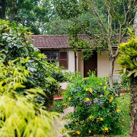 Casa Do Lenhador Villa Petrópolis Екстериор снимка