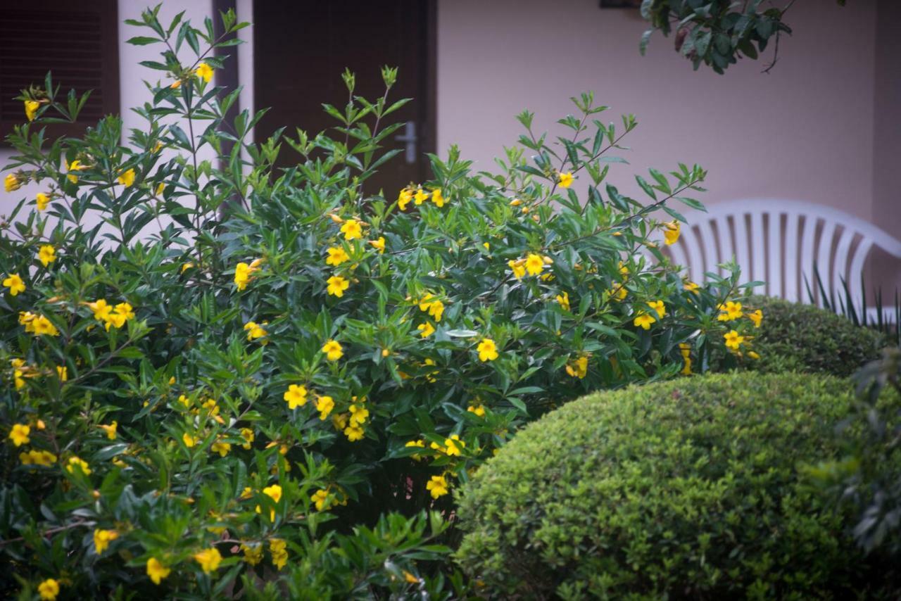 Casa Do Lenhador Villa Petrópolis Екстериор снимка
