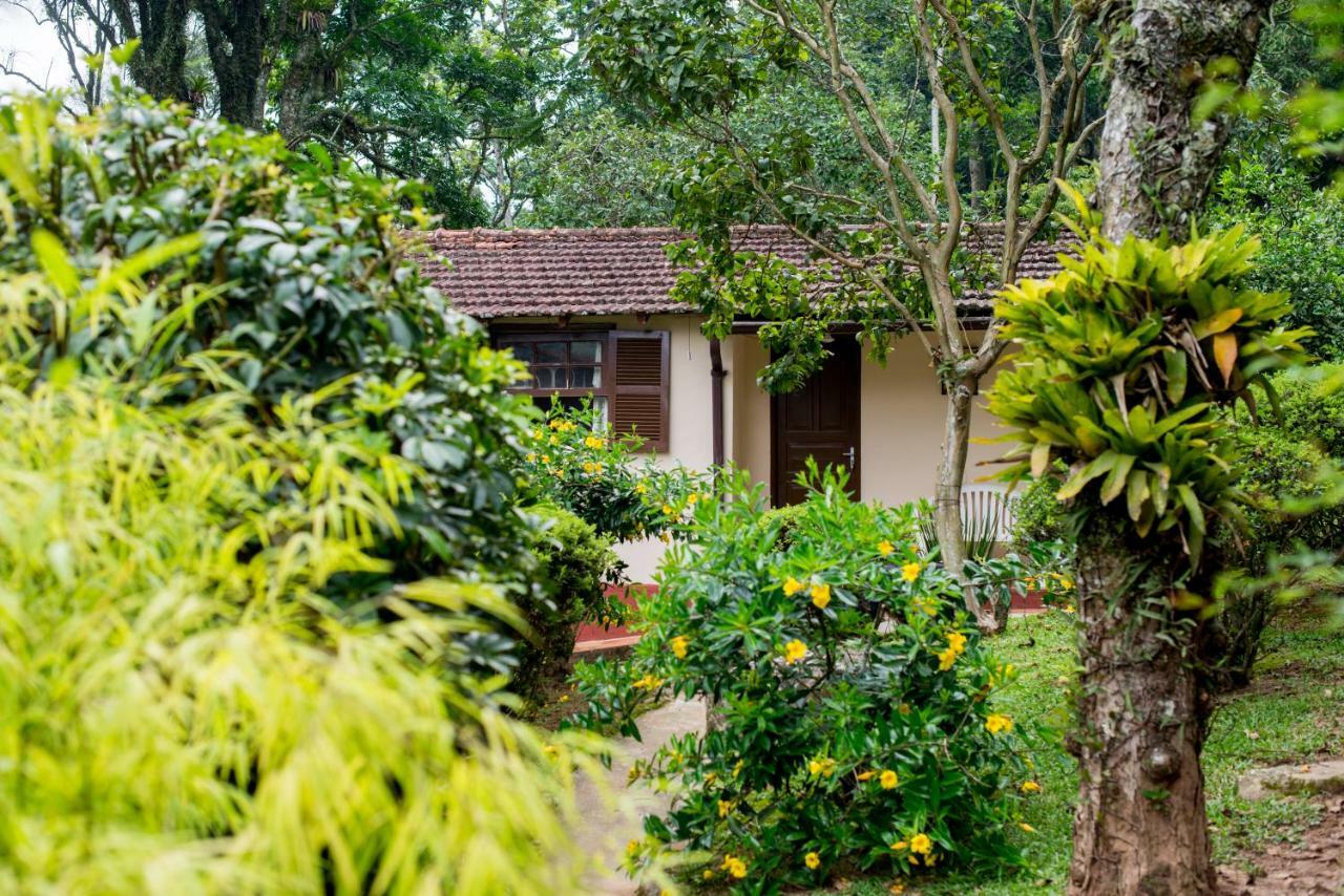 Casa Do Lenhador Villa Petrópolis Екстериор снимка